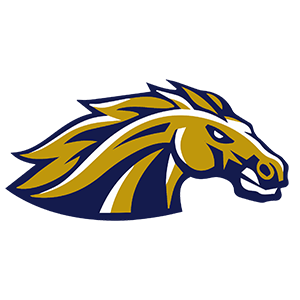 Casteel Colts Basketball
