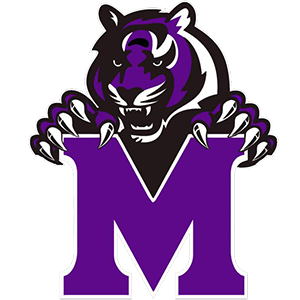 Millennium Tigers Logo