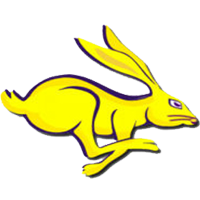 Mesa Jackrabbits